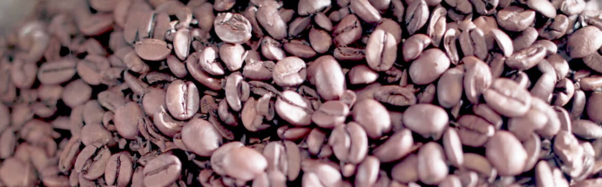 beans2.jpg